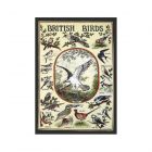 Eddingtons British Birds Tea Towel