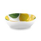 Lemon Fresh Melamine Bowls