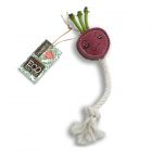 Green & Wilds Eco Dog Toy - Ruby the Radish