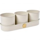 Sophie Conran Herb Pots - Buttermilk