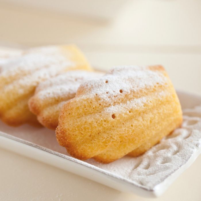 Chicago metallic madeleine pan 2025