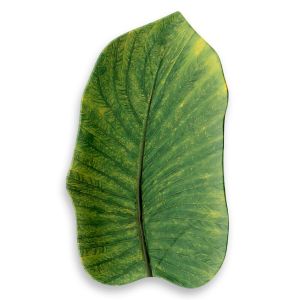 Amazon Floral Leaf Green Platter