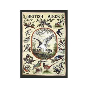 Eddingtons British Birds Tea Towel
