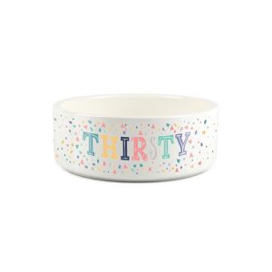 Purely Home Ceramic Multicolour Thirsty Pet Water Bowl
