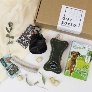 Eco Friendly Gift Box / Gift set for Eco Conscious Dog - Main