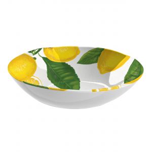 Auntie Morags Epicurean Lemon Fresh Melamine/Plastic/BBQ/Outdoor Side/Salad Plates Set 