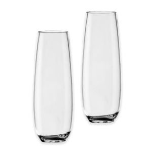 Montana Tritan Acrylic Plastic Champagne Flutes - Set